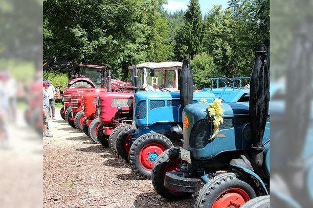 Traktor-Oldies in luftiger Hhe