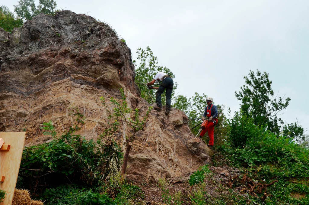 Am Breisacher Eckartsberg werden lose Steine abgetragen und das Felsmassiv gesichert.