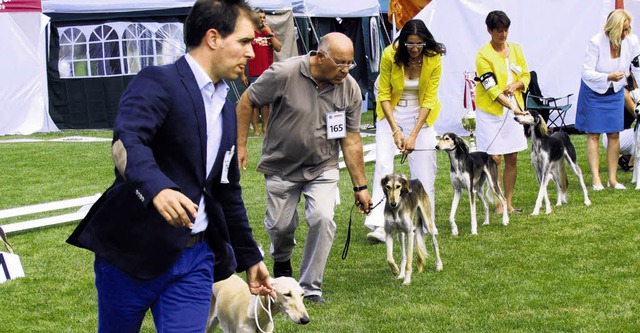 Sportlich mssen Hund und Halter schon...indhundfestival vorne mit zu mischen.   | Foto: Bingold