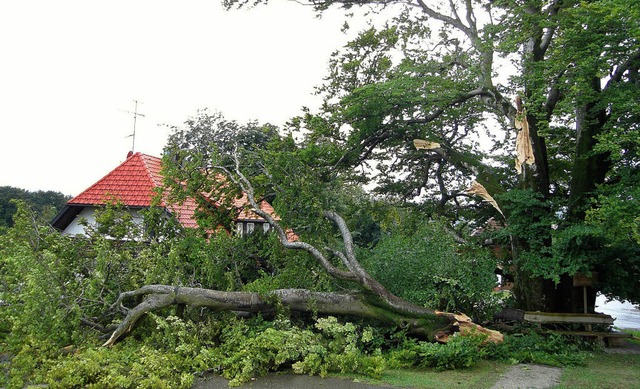 Ein groer Teil der groen Zwieselbuch... sein wird, ist derzeit noch ungewiss.  | Foto: Gemeinde Herrischried