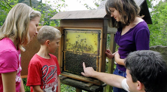 Immer wieder spannend: der Lehrstand mit Bienen   | Foto: heidi fssel