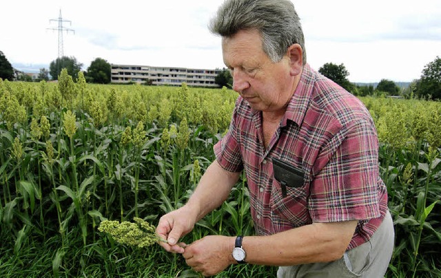 Getreidebauer Stefan Mehlin hat erstma...umhirse angepflanzt und ist zufrieden.  | Foto: Petra Wunderle