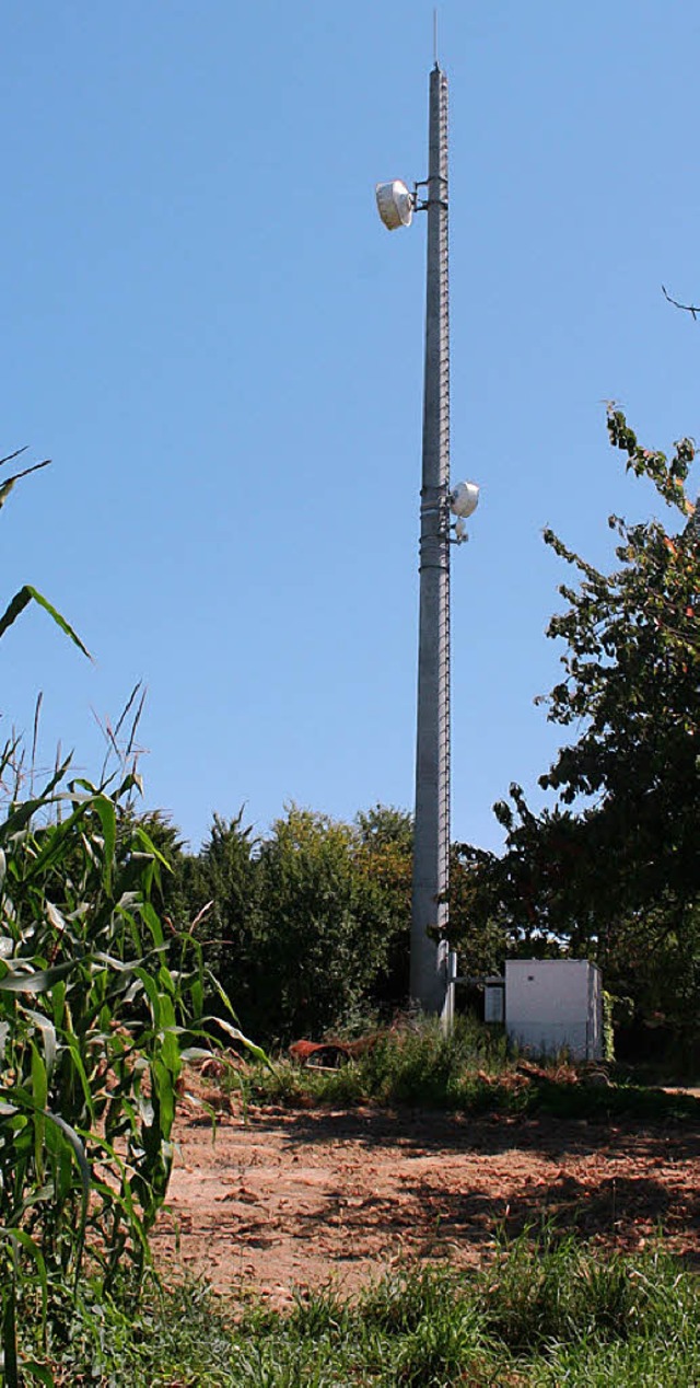 Eine behrdliche Einrichtung ist der S...ein schnelleres Internet sorgen kann.   | Foto: cremer