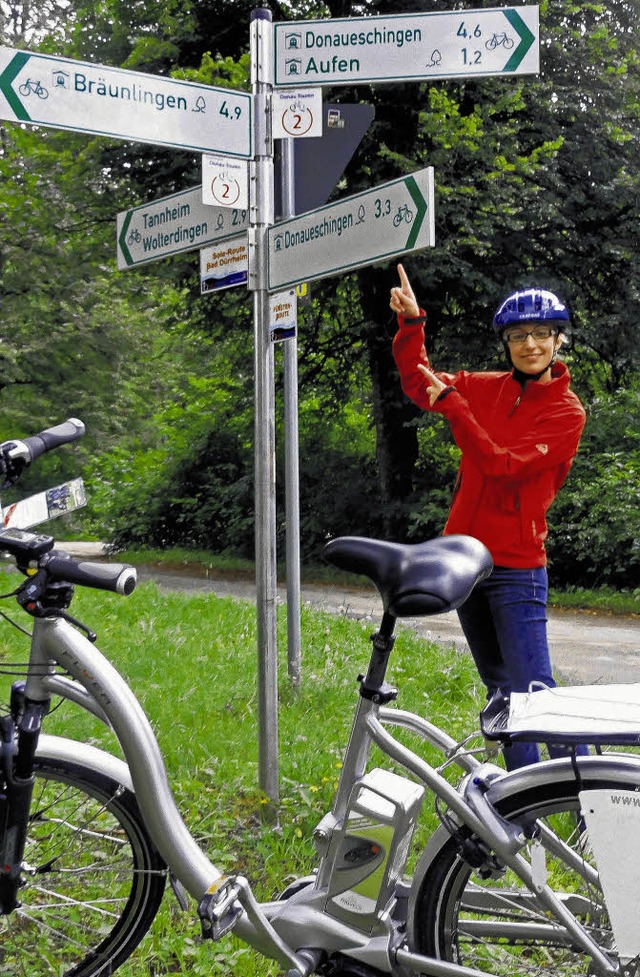 Vorbildlich: Trotz der vielen  Hinweis...nd Donaueschingen leicht auszumachen.   | Foto: Butschle