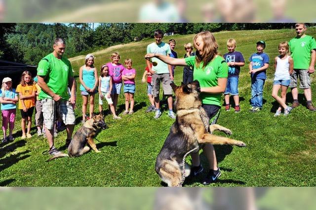 Annherung an groe Tiere