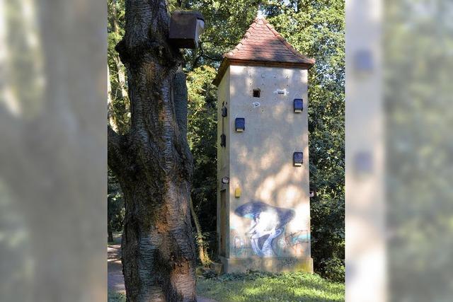 Goethepark: Nabu baut Umspannturm zur Brutstation fr seltene Vgel um