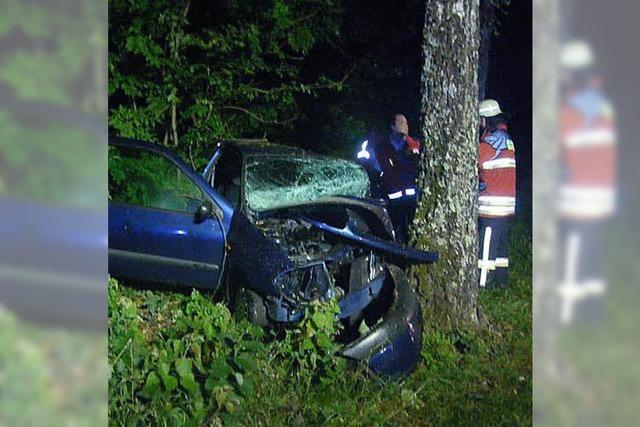 27-Jhrige prallt auf einen Baum und stirbt