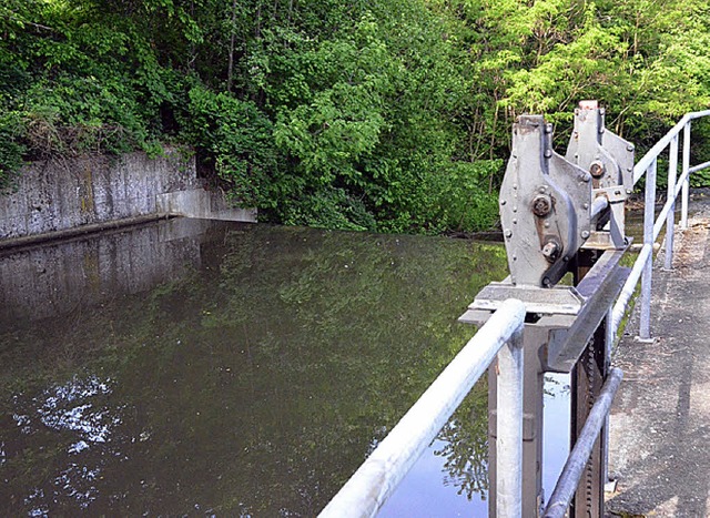 Das Wehr an der Kander bei Binzen funk...t mehr und sollte zurckgebaut werden.  | Foto: vl