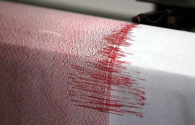 Derartige Ausschlge protokollieren Se...em Erdbeben. Hier eine Archivaufnahme.  | Foto: dpa