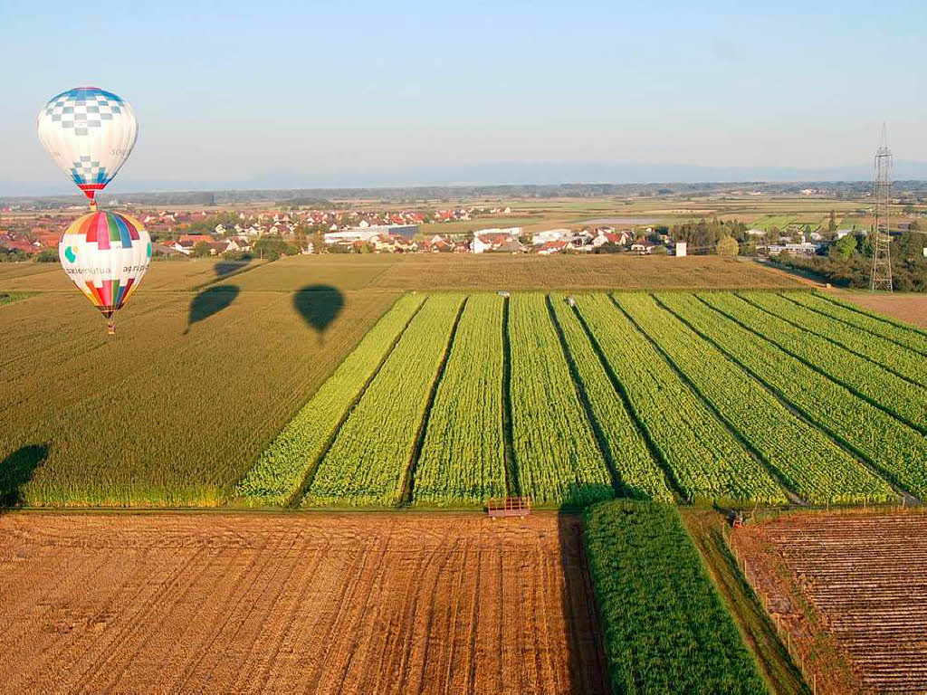 Fahrt ber die Felder, im Hintergrund Dundenheim