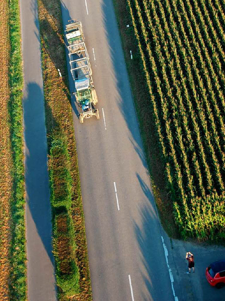 Tabakbauer auf dem Weg zur Ernte