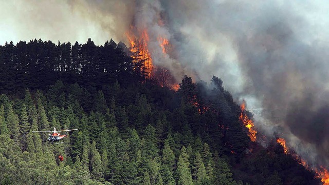 Ein Helikopter  versucht, den Waldbrand auf Teneriffa zu lschen.   | Foto: dpa
