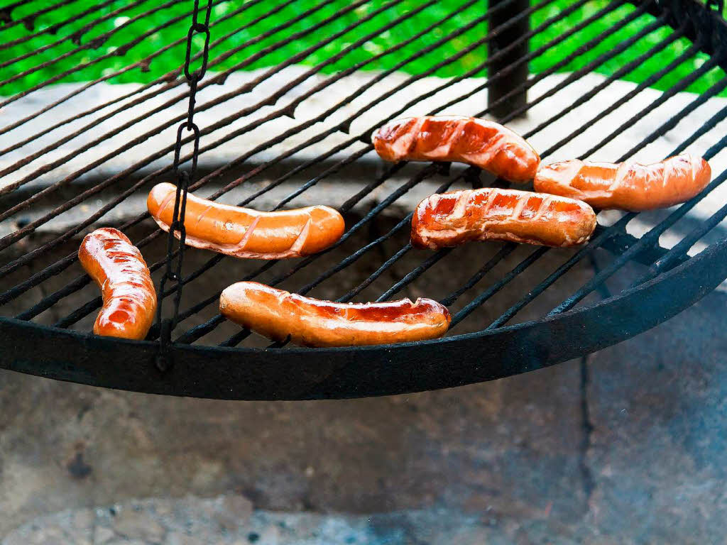 Neben dem Spielplatz gibt es Grillpltze. Das Holz zum Grillen stellt der Park.