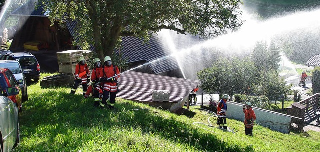 Die Feuerwehren von Sexau und Freiamt ... einem schwierigen Objekt in Freiamt.   | Foto: Feuerwehr