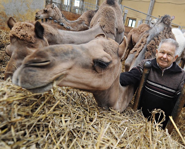 Wilhelm Breitling mit seinen Kamelen   | Foto: dpa