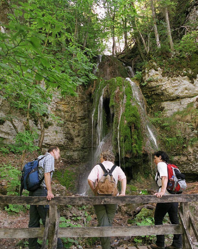 Ein Tourist kommt selten allein: Eine ...pe, unterwegs  in der Wutachschlucht.   | Foto: dpa