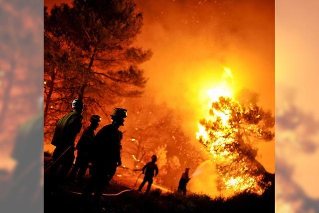 Schadensersatz wegen Evakuierung vor Waldbrand?