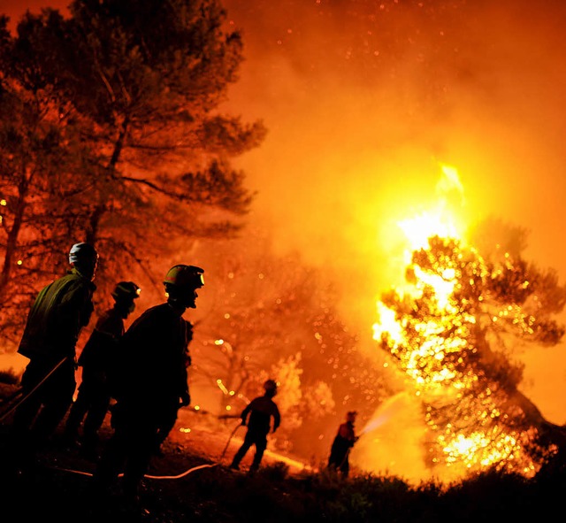 Eine alptraumhafte Szenerie mit ratlos...r bahnt sich bei Alicante seinen Weg.   | Foto: AFP