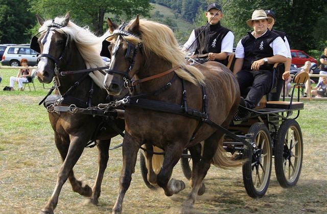 Rasanter Fahrerwettkampf der Zwei- und Vierspnner   | Foto: Karin Heiss