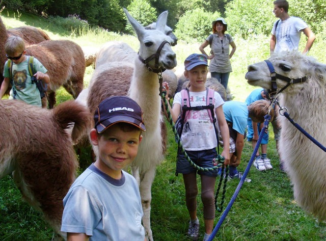 Das besondere Erlebnis: Wandern mit einem Lama an der Leine.   | Foto: ZVG
