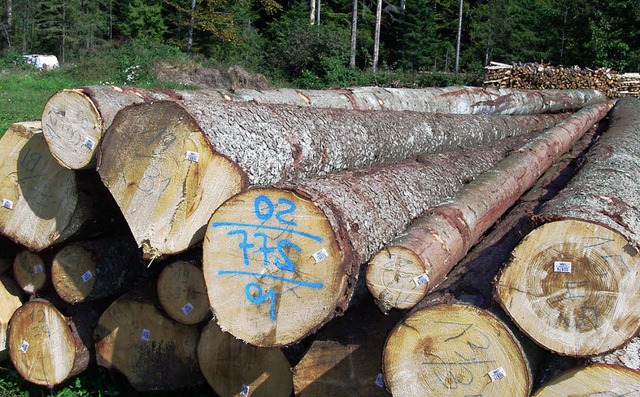 3,3 Millionen Euro hat der Holzverkauf im Staatswald eingebracht.   | Foto: vl