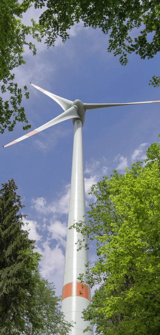 Ohne Windenergie wird  Energiewende ni...m 22. August in Drlinbach vorstellen.  | Foto: BZ