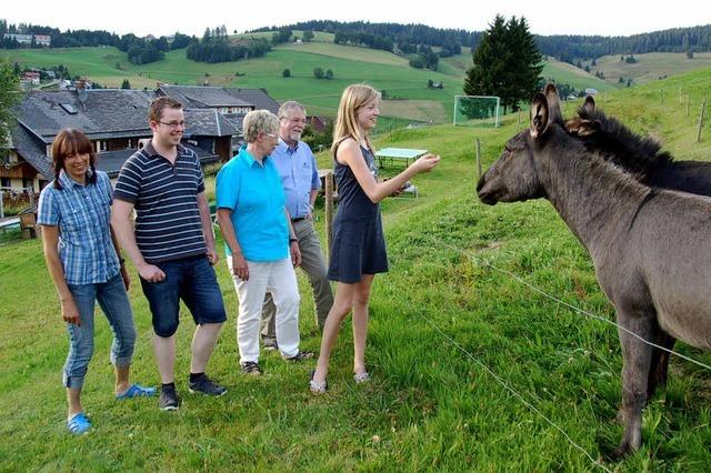 Bauernhofquiz und Eselfhrerschein