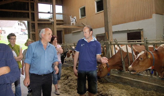 Im grozgigen Kaltstall hat das Vieh es bequem.   | Foto: Elfriede Mosmann