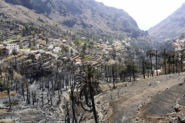 Brnde auf La Gomera zerstren Existenzen