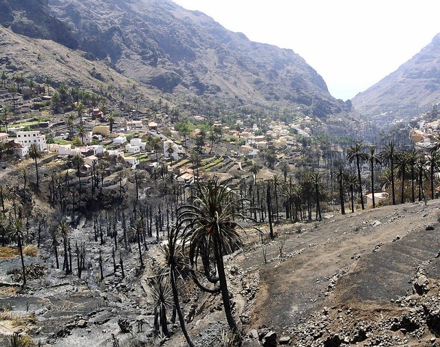 Spuren des Feuers in  Valle Gran Rey auf La Gomera   | Foto: dpa