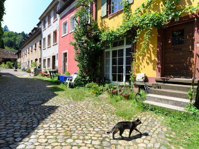 Ruhig und beschaulich: Das Leben in Gnterstal, Freiburgs kleinstem Stadtteil.  | Foto: Ingo Schneider