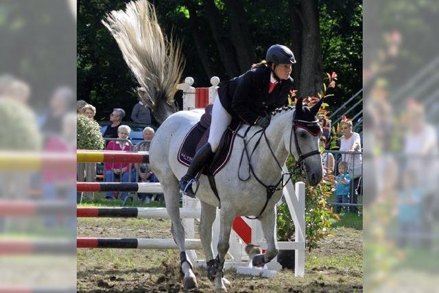 Reitturnier im Kurpark