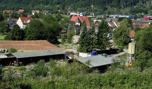 Das Steilhangstck hinter dem Gemeinde...htung Hrnleberg, wiederherzustellen.   | Foto: Karin Heiss