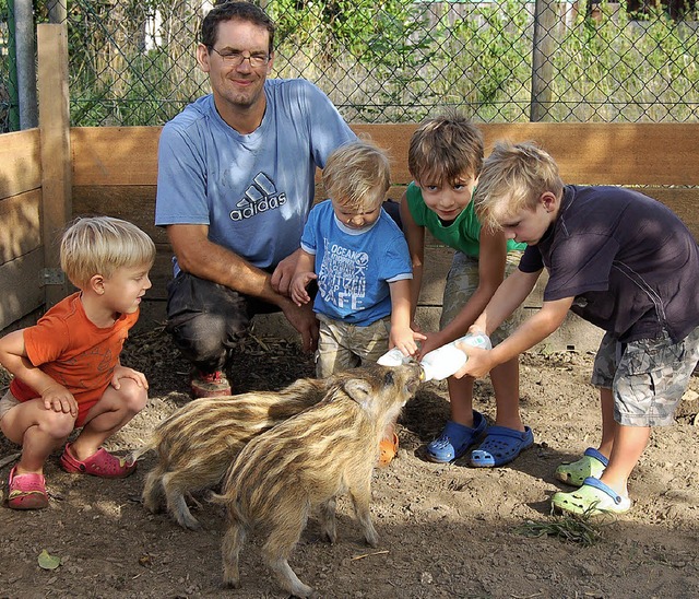 So niedlich: Jochen Meier fttert mit ...arskind Felix die  Wildschweinkinder.   | Foto: Petra Wunderle