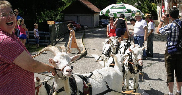 Beim Geienfest des Landschaftpflegeve...nige Runden mit seiner Geienkutsche.   | Foto: Rmmele