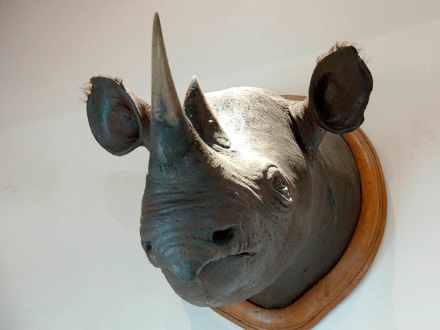 Das letzte Nashorn des Museums  | Foto: Ralf Burgmaier