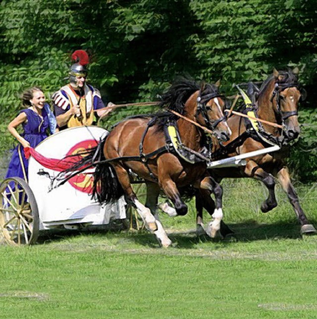 Holprige Angelegenheit: auf dem Streitwagen  | Foto: Veranstalter