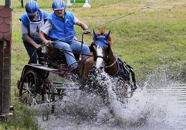 Besonders spektakulr sind die Gelndeprfungen der Gespannfahrer.   | Foto: Archiv: Peter Aukthun