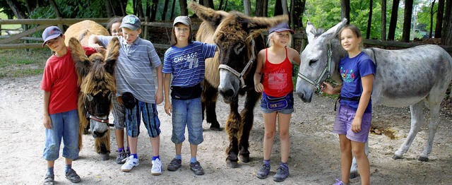 Schnell haben sich die Kinder mit den Eseln angefreundet.   | Foto: fotos: adelbert mutz