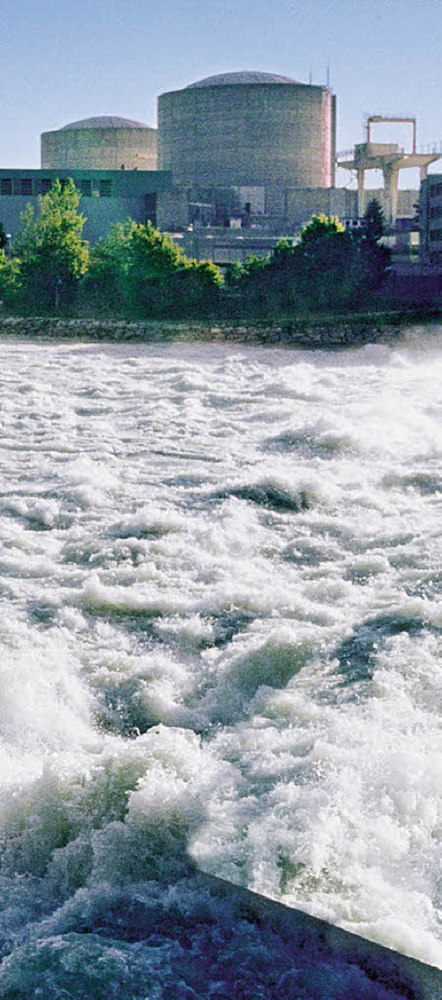 Zu warm: Die  Aare beim Atomkraftwerk Beznau.   | Foto: KKL