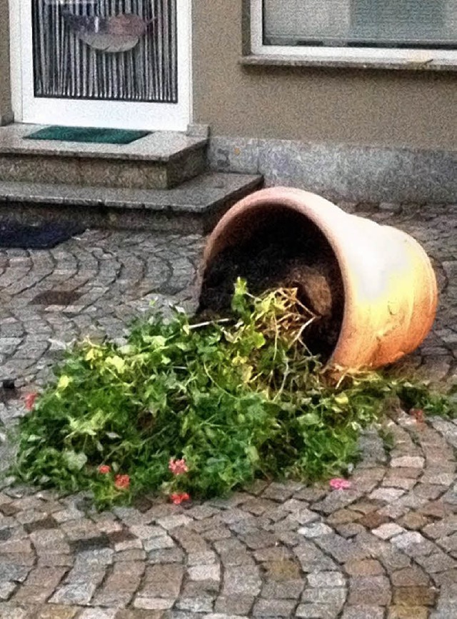 Auf Blumenkbel hatten es  junge Grwihler im Laufenburger Stdtle abgesehen.   | Foto: Stadtverwaltung