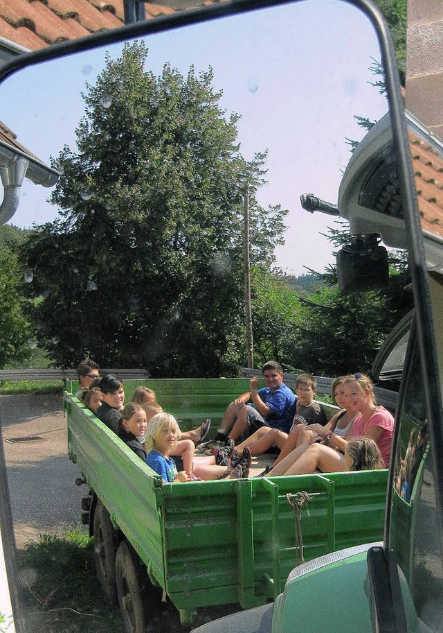 Im Rckspiegel des Traktors spiegelt s...Freimter Kindersommer unterwegs war.   | Foto: Janina Ruth