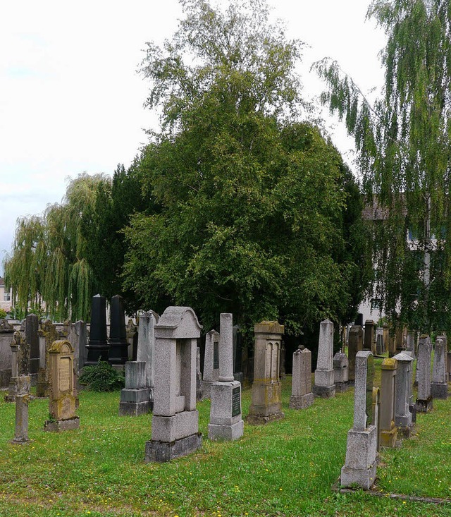 Mllheims jdischer Friedhof &#8211; hier gibt&#8217;s eine Fhrung.   | Foto: Drescher