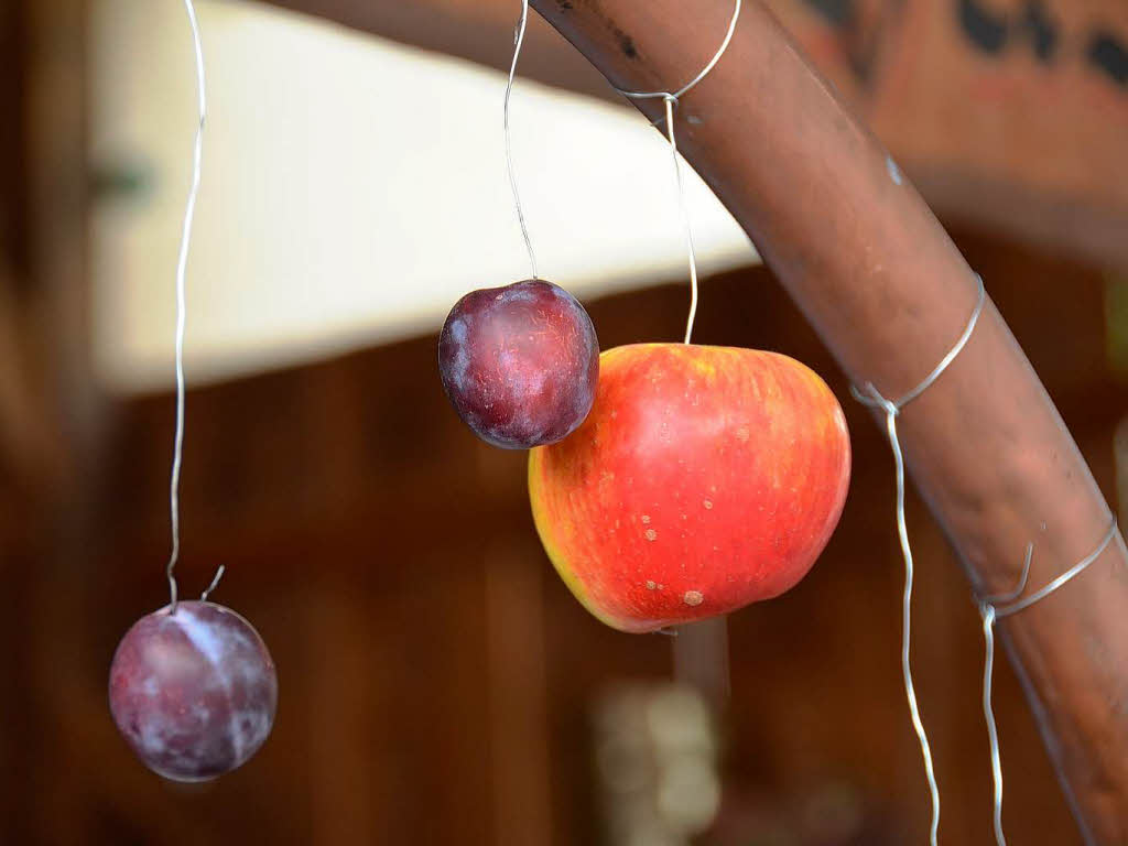 Impressionen vom Weinfest in Wolfenweiler<?ZP?>
