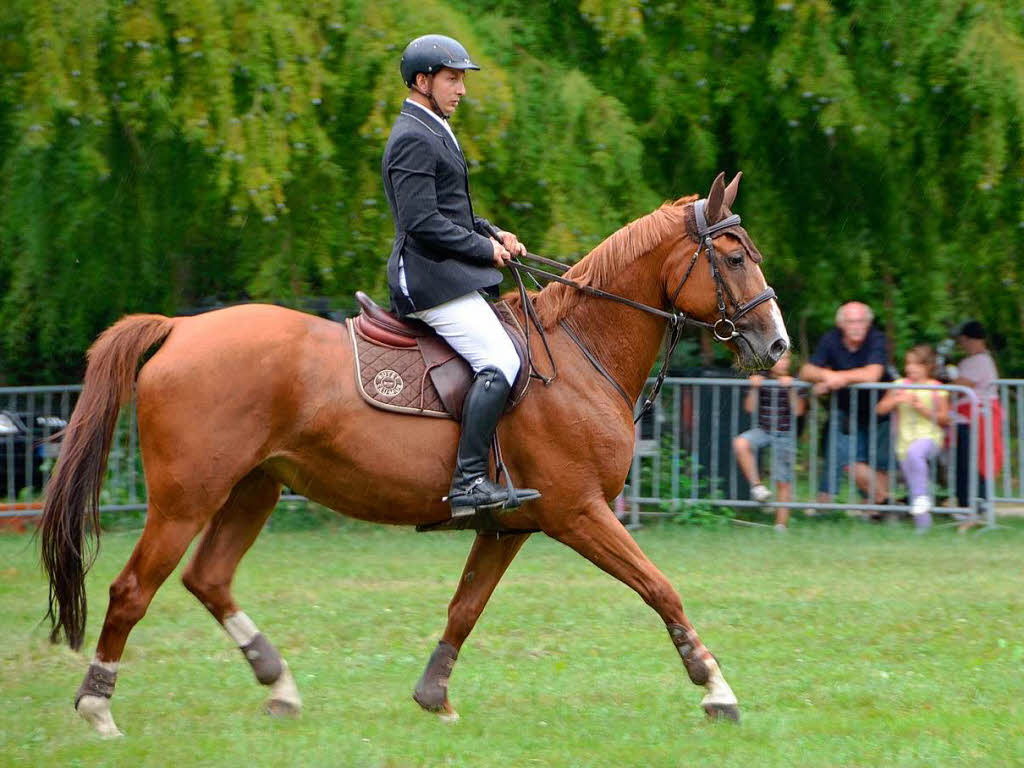 Vita Classica Reitturnier im Kurpark Bad Krozingen