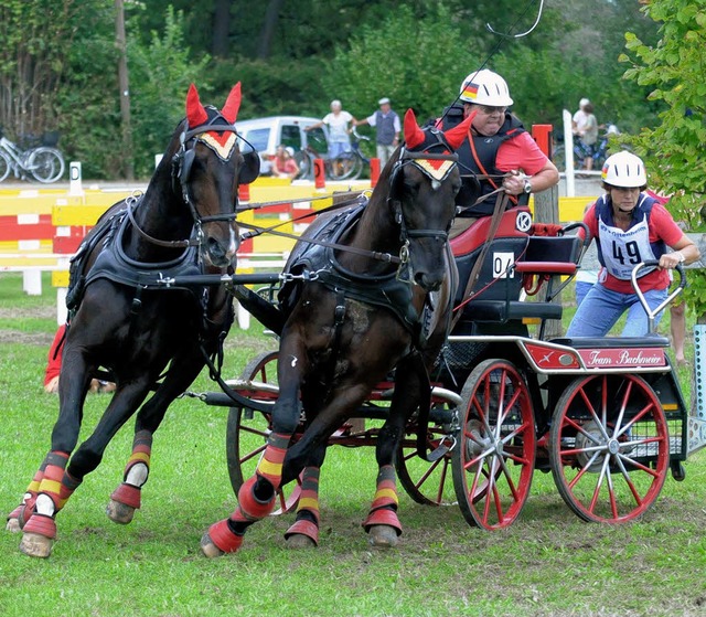 Rang drei bei den Zweispnner-Gropferden: Lothar Bachmeier aus Meienheim.   | Foto: Wolfgang Knstle