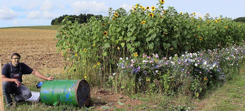 „Blumen zum selber Schneiden“ in Seppenhofen: Mehrfach Sachschäden