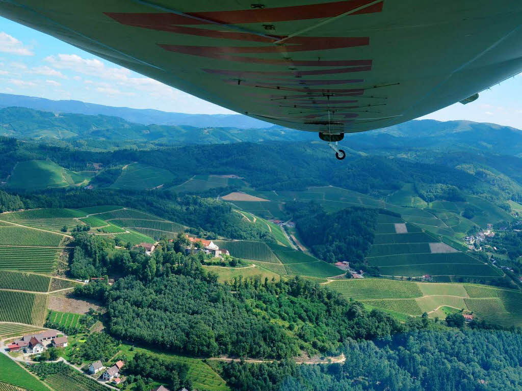 Blick ber das Durbacher Rebland und Schloss Staufenberg