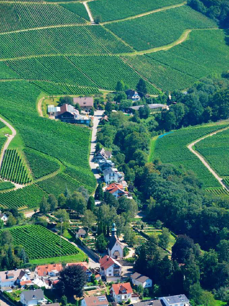 Im Vordergrund die Bhlwegkapelle in Kfersberg, dahinter das Weingut Schloss Ortenberg