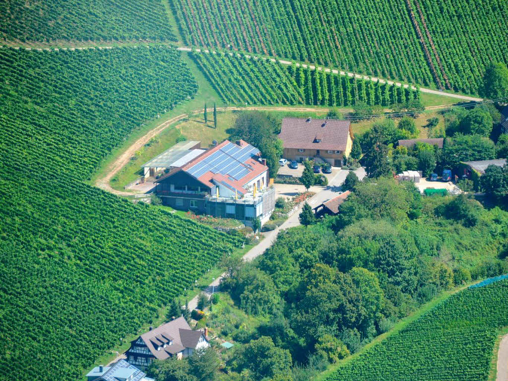 Weingut Schloss Ortenberg